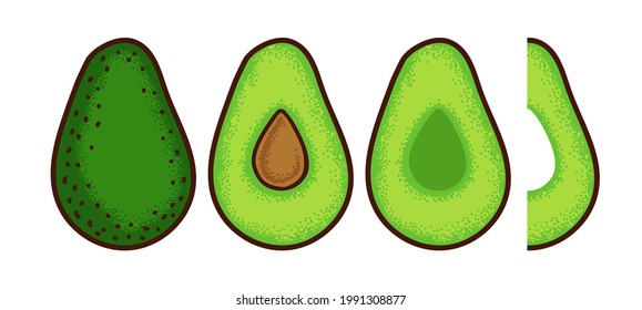 Avocado. Whole fruit, halfs and slice isolated on white. Vector illustration.