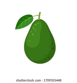 Avocado whole fruit with leaf. Vector flat illustration isolated on white background