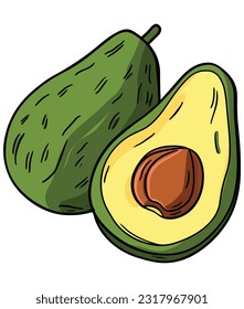 Avocado whole and half illustration on white background 