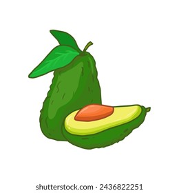 Avocado whole and half isolated on a white background. Green fruit avocado with seed. Doodle. Flat design. Vector illustration