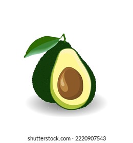 Avocado whole and in half. Ripe avocado fruits, natural healthy food, vector illustration . Green Avocado with seeds, tropical healthy food, exotic healthy food