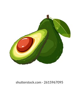 Avocado. Whole avocado, half. Vector illustration isolated on white background.