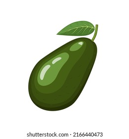 Avocado einzeln auf Blatt, Vektorgrafik einzeln auf weißem Hintergrund auf flachem Hintergrund