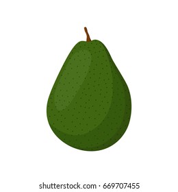 Avocado whole and slice. Tropical summer fruit. Made in cartoon flat style