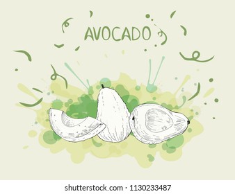 Avocado whole and sliced, vector