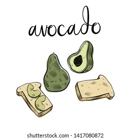  Avocado whole and slices. Vector.