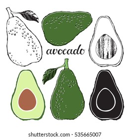 Avocado,isolated vector elements on a white background. Hand drawn set.