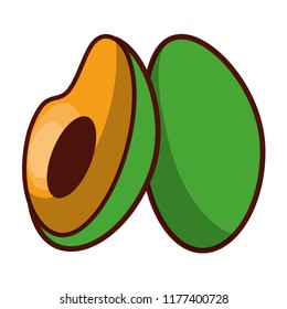 Avocados cut half