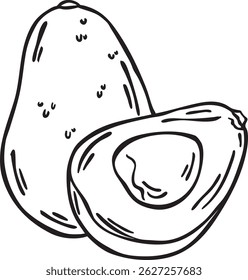 avocados fruit line vector illustrations