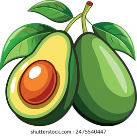 Avocados fruit set isolated vector on white background