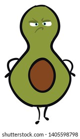 Avocados are pear shaped fruit with green or black skin, very large seed in the middle, and which are eaten raw., vector, color drawing or illustration. 
