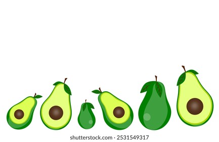 Avocados vector isolated on white. 