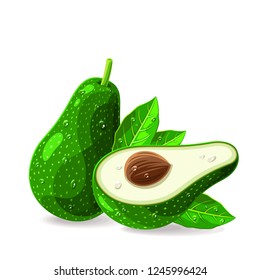 Avocados whole a piece with leaves pit stem and drops of water on white. Vector illustration. No gradients