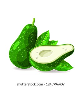 Avocados whole a  pitted piece with leaves stem and drops of water on white. Vector illustration. No gradients