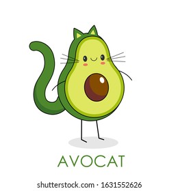 Avocat funny vector illustration with avocado looking lake cat.