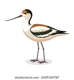 Avocet Bird flat vector illustration