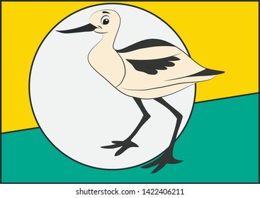 Avocets have long legs and they sweep their long, thin, up curved bills from side to side when feeding in the brackish or saline wetlands they prefer. The plumage is pied, sometimes also with some red