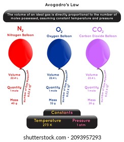 Avogadro Law Infographic Diagram example nitrogen oxygen carbon dioxide balloon volume number of molecule quantity mass constant temperature pressure atom substance physics science education vector