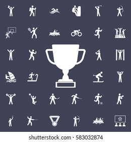 Award Icon. Sport icons universal set for web and mobile