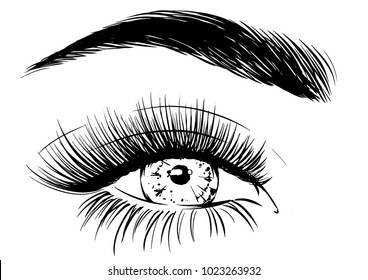 Awesome Beauty Full Lashes & Brows