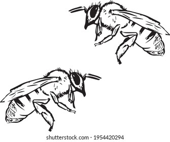 awesome Bees vector illustration line art