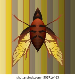Awesome beetle logo design eps10 vector