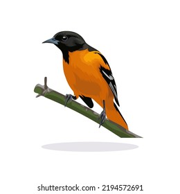 awesome bird orange vector illustration