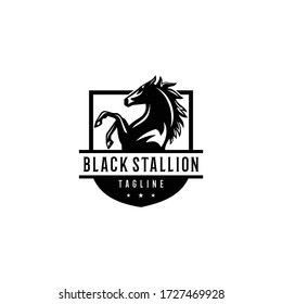 Awesome Black Stallion Beautiful Elegance With Badge Emblem