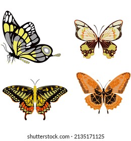 awesome butterflies vector design  arts