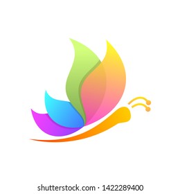 awesome colorful butterfly design vector