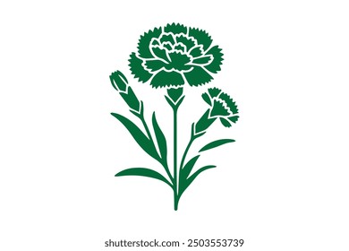 awesome colorful Carnation flower vector