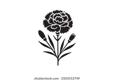 awesome colorful Carnation flower vector