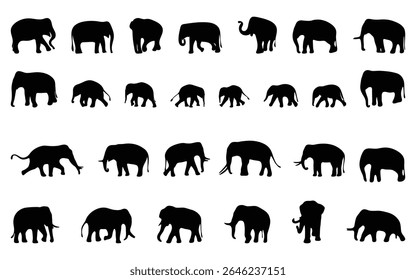 Awesome elephant silhouette set. Vector illustration.