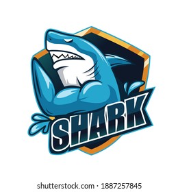 278 Muscle shark Images, Stock Photos & Vectors | Shutterstock