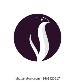 Awesome Penguin illustration design vector