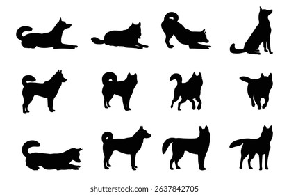 Awesome set of Siberian Husky silhouettes in different poses, isolated background. Vector illustration.