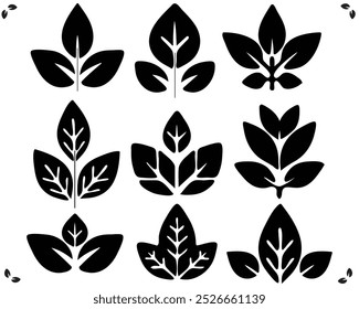 Awesome tree leaf design editable black and white flower harmony, beautiful leaf design, vector leafy shield Black silhouette set of leaves on branches, vector illustration botanical elements design.