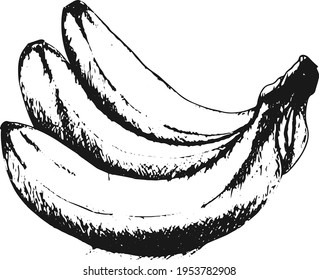 Awesome vintage banana vector logo