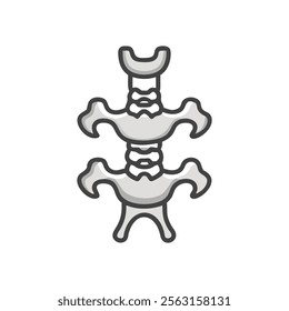 Axis C2 Vertebra Anatomy Icon