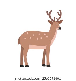 Axis deer cartoon clipart. Chital deer or spotted deer vector illustration in flat style. Hand-drawn wild animal concept