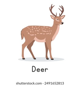 Axis deer vector illustration, cartoon clipart character, animal in flat style. Wild animals, wild creatures, wildlife concept. Chital or spotted deer vector design isolated on white background