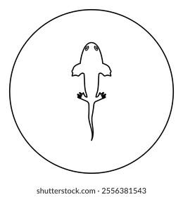 Axolotl ambystoma mexicanum overhead view icon in circle round black color vector illustration image outline contour line thin style