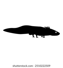 Axolotl ambystoma mexicanum view side icon black color vector illustration image flat style