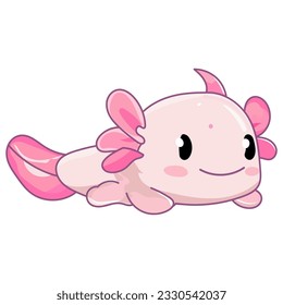 axolotl amphibians cute vector character
