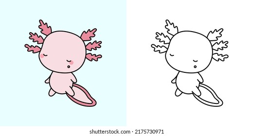Axolotl Clipart for Coloring Page and Multicolored Illustration. Adorable Clip Art Axolotl. Vector Illustration of a Kawaii Animal for Coloring Pages, Prints for Clothes, Stickers, Baby Shower. 
