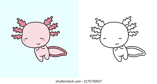 Axolotl Clip Art mehrfarbig und schwarz-weiß. Schöne Clip Art Axolotl. Vektorgrafik eines Kawaii-Tieres für Kleiderdrucke, Aufkleber, Babydusche, Farbseiten. 