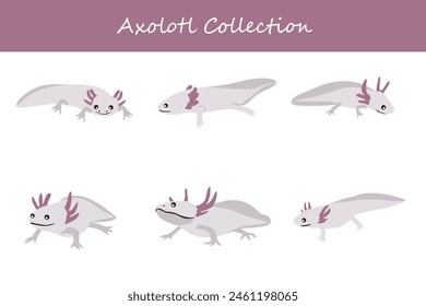 Axolotl collection. Axolotl in different poses. Vector illustration.