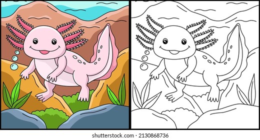 Axolotl Coloring Page Colored Illustration