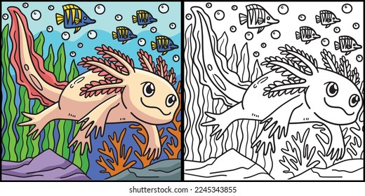  Axolotl Coloring Page Colored Illustration