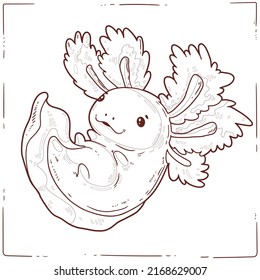 Axolotl, a Coloring Sheet. Cartoon outline picture of playful baby axolotl. A colouring book page. Contour illustration for children preschool education. Interesting home activity for kids